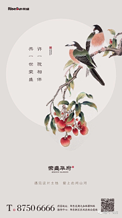 阳yyy采集到排版