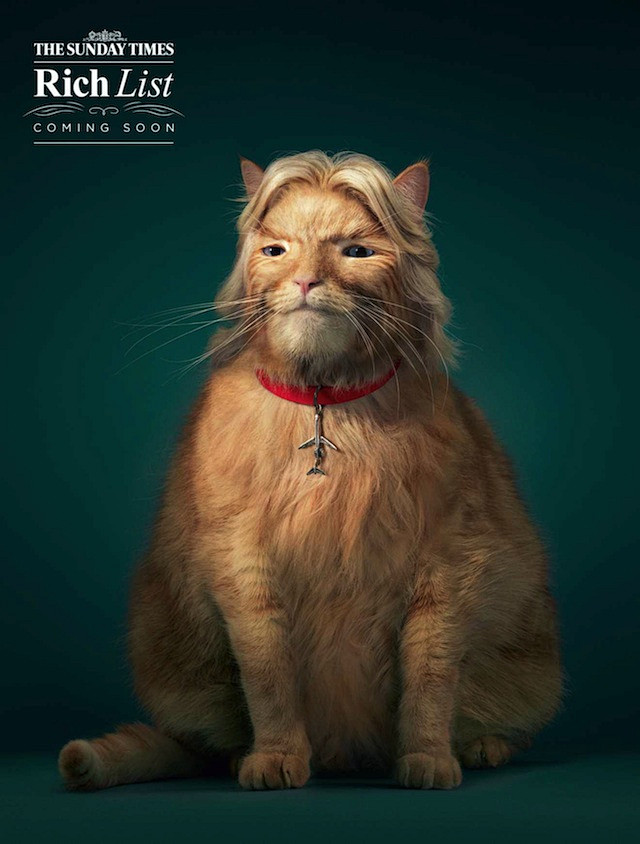 时尚的猫创意海报设计作品