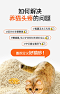 宽福豆腐猫砂除臭无尘猫咪用品10公斤20斤天然猫沙可冲马桶-tmall.com天猫