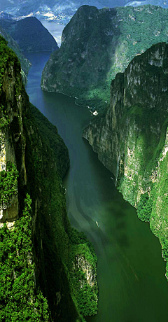 凉拌的星馅儿采集到风景