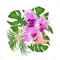 花束,热带的花,植物,水彩画,植物群,自然美,插花,排列,复古,花