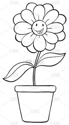 一朵花和锅素描