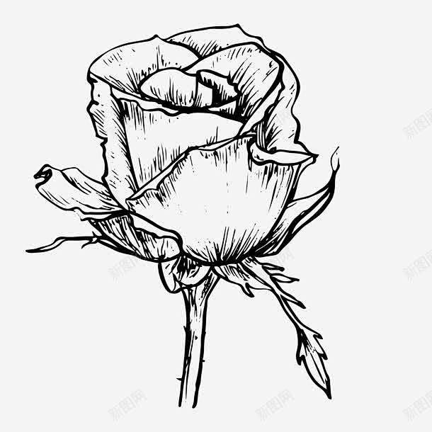 黑白卡通花草手绘素描玫瑰花图标 花朵植物...