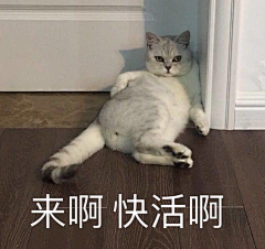 热河乀采集到表情包
