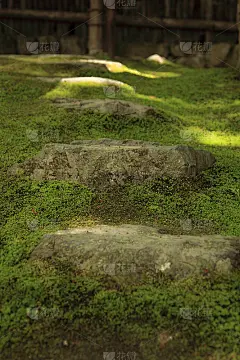 步骤