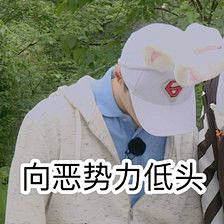 Cyan青木采集到表情包