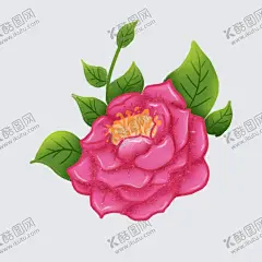 手绘牡丹花素材 【酷图网】牡丹插画,手绘牡丹,手绘牡丹插画,牡丹国画,牡丹花国画,水彩牡丹花,水墨牡丹,卡通牡丹,牡丹线稿,矢量牡丹,矢量牡丹插画,手绘矢量牡丹,牡丹简笔画,牡丹素材,牡丹元素,牡丹背景,粉色花卉,手绘花卉,水彩花卉,原创手绘,写意牡丹,国色天香,富贵呈祥,手绘,牡丹,牡丹花