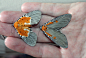 He & she moth