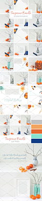 冬天简约风格办公场景背景 Tangerine Winter Bundle