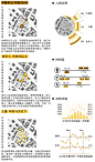 会呼吸的屋顶绿洲_智筑网