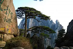 黄山国家地质公园风景风光桌面高清壁纸桌面壁纸3
