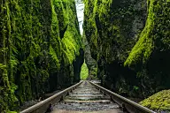 摄影植物 一花一世界 一草一天涯