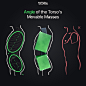 Angle of the Torso's Movable Masses