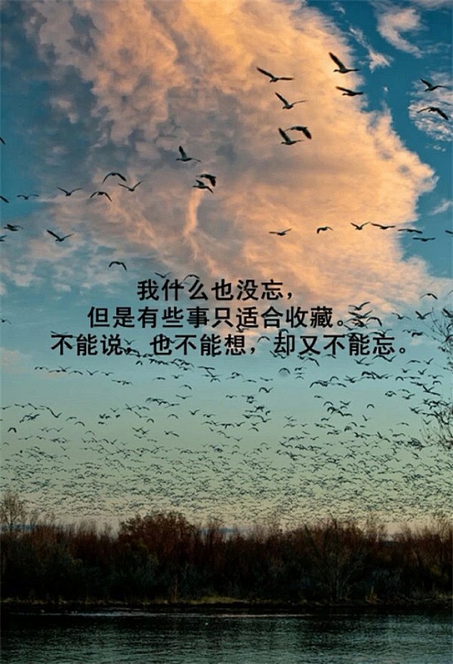 艺术设计 文字 文字控……_来自石药无医...