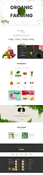 Origano - Organic Store Template : Origano - Organic Store Template