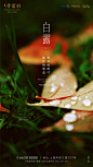 微信图片_20180908101610