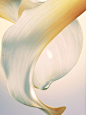 Candice Milon > Photography > Golden Petal | Margot de Roquefeuil - Artist Management