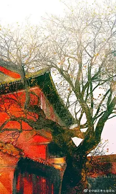 古风场景