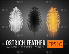 分离着色,高雅,羽毛,鸵鸟,华丽的,天鹅,鸟类,写实,布置,复古