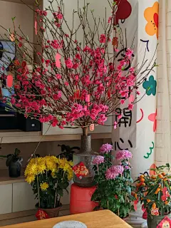 立春好时节 - 小红书
