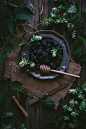 Oregano Honey Cake With Blackberry Buttercream + A Cookbook | by Eva Kosmas Flores