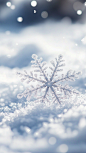 立冬雪花大雪背景节日节气背景通用背景素材 (19)