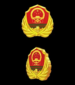 5款武警徽章旋转循环视频