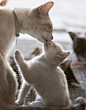 Love you mama…                                                                                                                                                     More: 