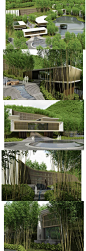 Bamboo Resort Hotel: