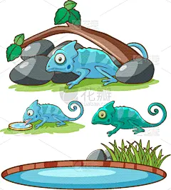 分离着色,变色龙,绘画艺术品,活力,可爱的,创造力,自然,野生动物,环境,设计