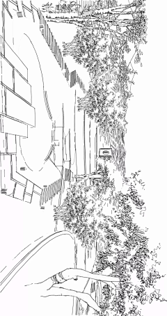 AaaaFuc采集到笔落芳华，致境东方 | 绿地香港滇池国际健康城『山重院』景观示范