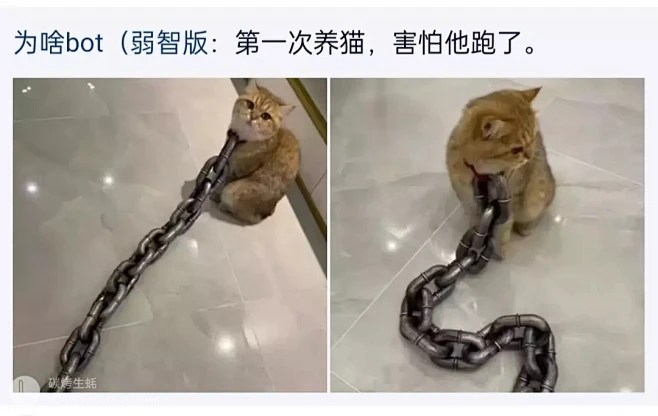 梗图-花瓣网