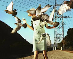 莱清采集到Alex Prager