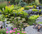 Beautiful Ponds in Downers Grove