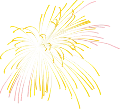 国庆礼花 #节日##国庆#