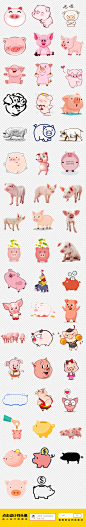 50款手绘卡通动物可爱小猪粉红猪猪头png素材