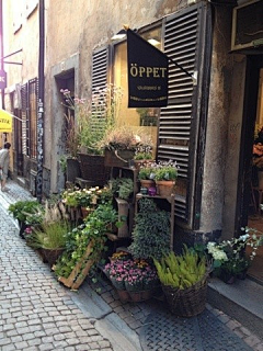 Rose-Z采集到店铺