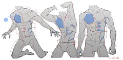 峻曙/Junseo 人体素材 教学