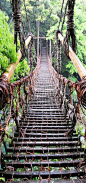 Kazura Bridge, Tokusima, Japan