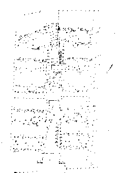 景观设计-陈师傅采集到景观-平面图