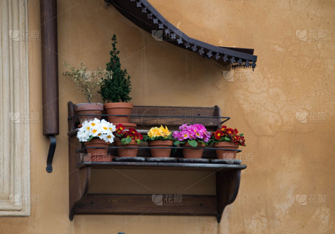 Wooden flower box with a row of multicolored flowers
