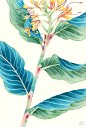 那个夏天，我和我的那些花儿_创意汇