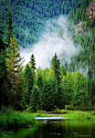 Panhandle National Forest, #Idaho