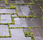 Slate paving and moss pattern