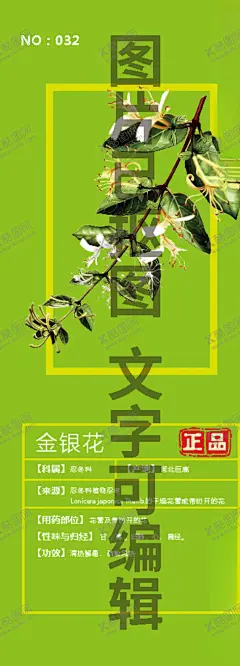 金银花 【酷图网】金银藤,银藤,二色花藤,二宝藤,右转藤,子风藤,鸳鸯藤,二花,手绘,插画,线描,白描,国画,素描,包装设计元素,设计元素,插图,插画手稿,中药名插画,中药手绘,野生,高山,药丸,文化艺术,绘画书法,平面