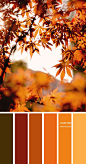 (438) Pinterest