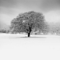 Snowscapes | Vassilis Tangoulis