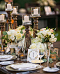 A tented rustic-elegant reception filled with ivory florals across long tables were so lush! : @PaulBarnettPhotography 


.
.

.
.
#insideweddings #editorscircle #outdoorreception #outdoorwedding #tentwedding #whitewedding #dreamwedding #elegantwedding #w