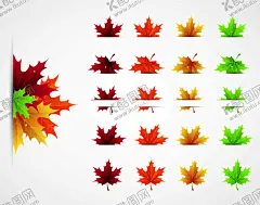 ai矢量秋天枫叶图片 【酷图网】秋天插画,金秋,叶子,树叶,金黄色秋天,枫树,儿童绘本,绘画,插画,插图,装饰画,无框画,挂画,秋季,唯美,温馨,入秋,深秋,立秋,枫叶,矢量图,秋天,手绘秋天,创意手绘,秋天海报,立秋海报,秋日海报,传统节气海报,插画海报,秋叶,树叶绘画,秋季落叶,海报,展板