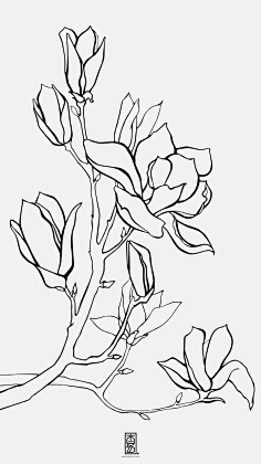 素描-植物-花瓣网|陪你做生活的设计师 | y